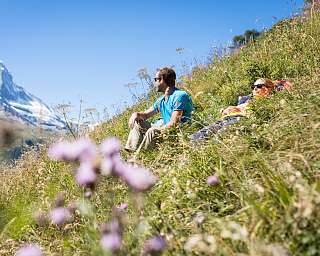 Blumenblüte Zermatt cr Pascal Gertschen