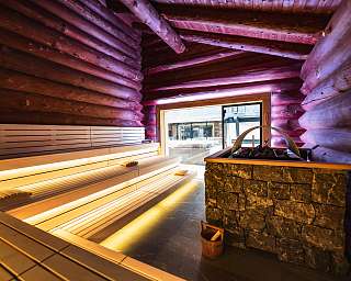 alpenhof Sauna3