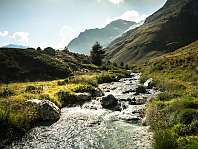 Landschaft 2