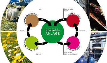 Schema Biogas D